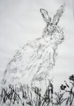 Spring in the Air (brown hare at Otmoor) Rahima Kenner, Etching 41.5 x 30.5cm